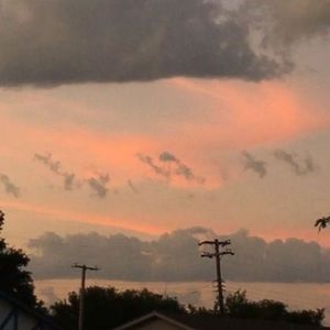 Meet your Posher, Audrey